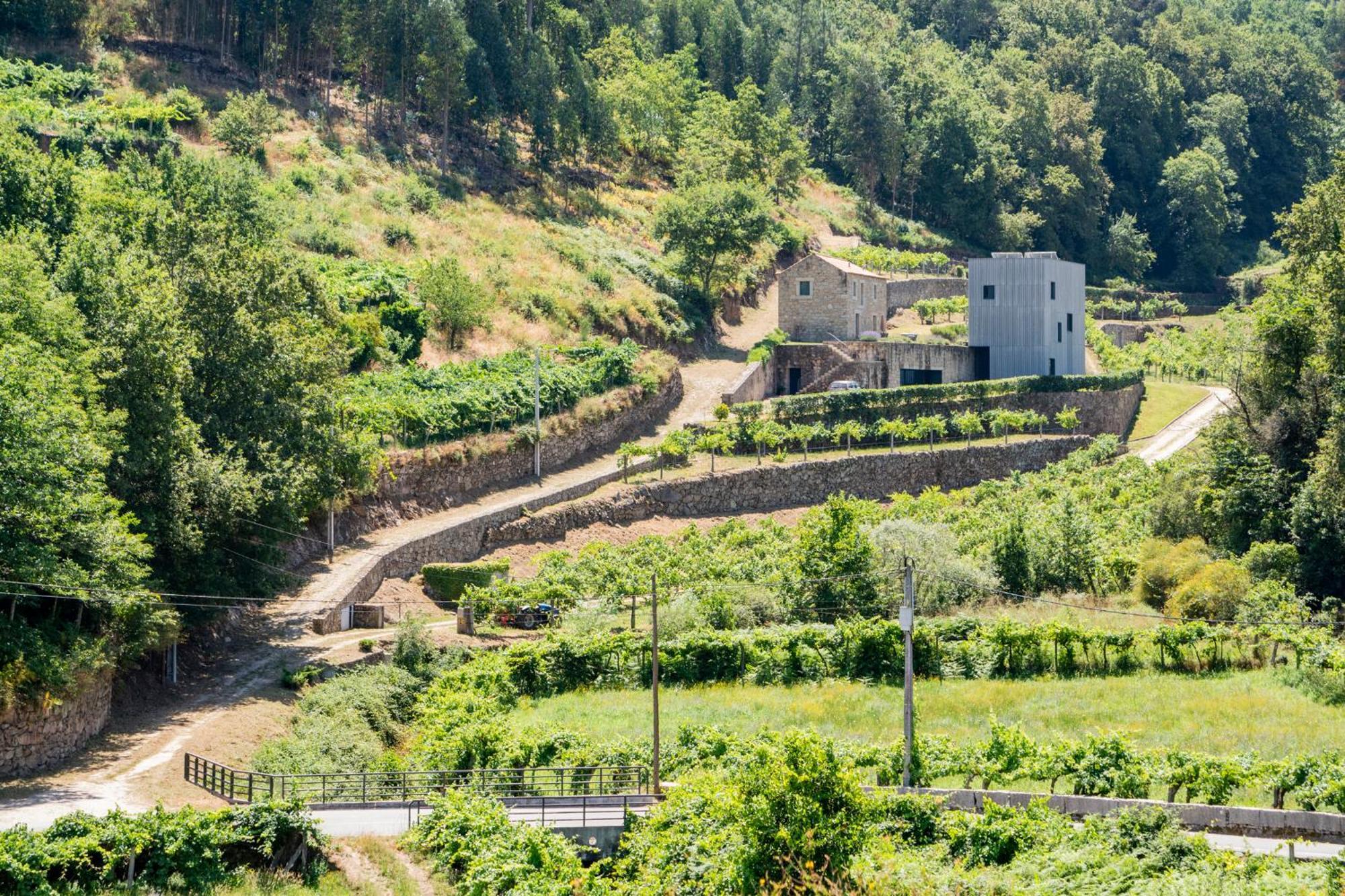 Melgaco Alvarinho Houses Eksteriør bilde